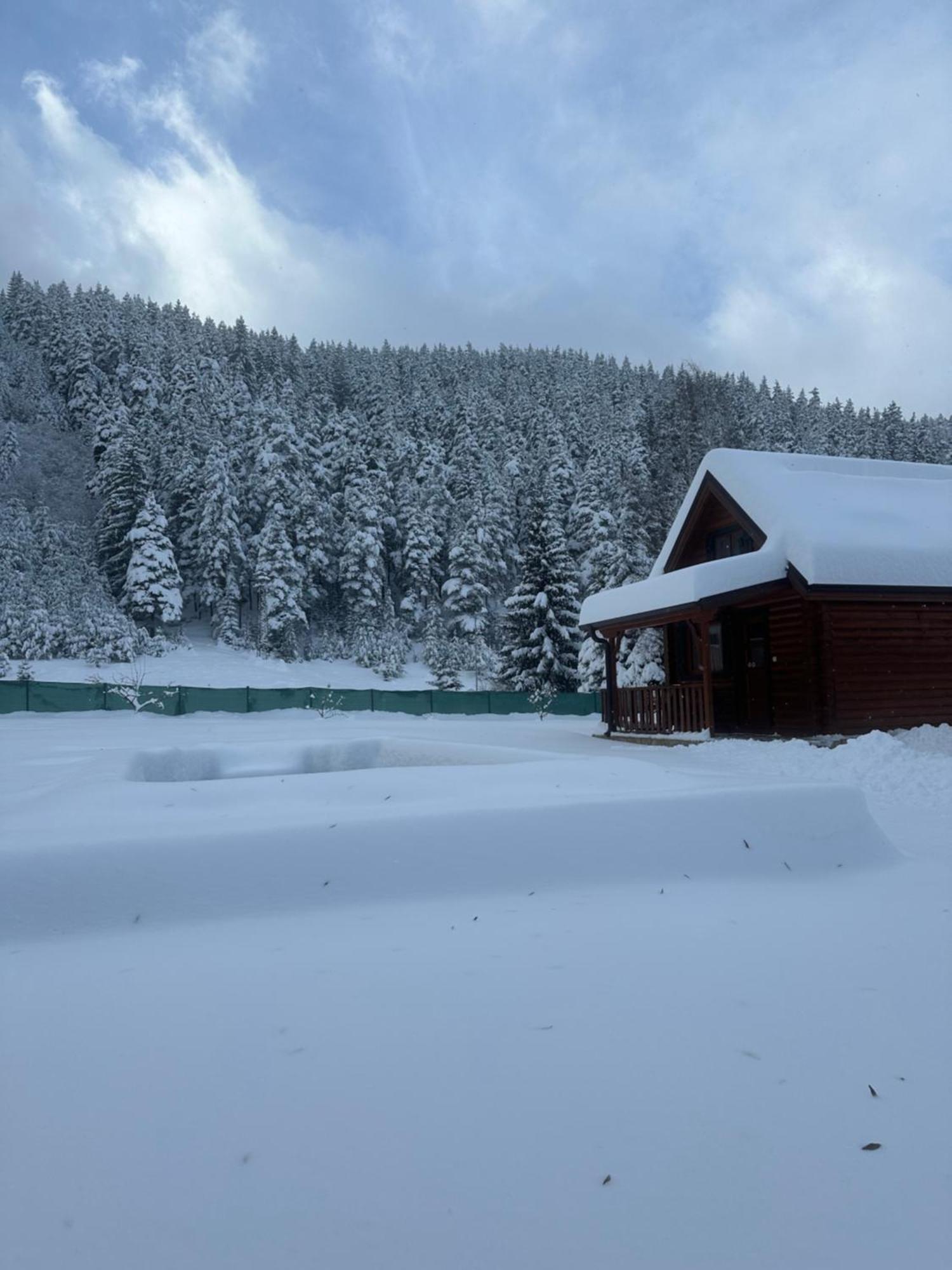 Villa Paradise Бели искър Екстериор снимка